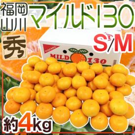 山川みかん ”福岡産 マイルド130” 秀品 S/Mサイズ 約4kg【予約 11月以降】 送料無料