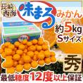長崎 西海 ”味まるみかん” 秀品 Sサイズ 約5kg 産地化粧箱 最低糖度12度保証【予約 11月下旬以降】 送料無料