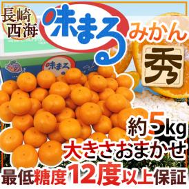 長崎 西海 ”味まるみかん” 秀品 約5kg 大きさおまかせ 産地化粧箱 最低糖度12度保証【予約 11月下旬以降】 送料無料