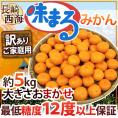 長崎 西海 ”味まるみかん” 訳あり 約5kg 大きさおまかせ 産地化粧箱 最低糖度12度保証【予約 11月下旬以降】 送料無料