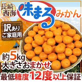 長崎 西海 ”味まるみかん” 訳あり 約5kg 大きさおまかせ 産地化粧箱 最低糖度12度保証【予約 11月下旬以降】 送料無料