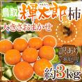 ”鳥取産 輝太郎柿” 訳あり 約3kg 大きさおまかせ【予約 10月以降】 送料無料