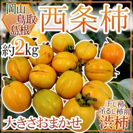 島根・鳥取・岡山産 干し柿・吊るし柿用 ”西条柿 渋柿” 約2kg 大きさおまかせ【予約 10月下旬以降】 送料無料