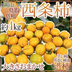 島根・鳥取・岡山産 干し柿・吊るし柿用 ”西条柿 渋柿” 約4kg 大きさおまかせ【予約 10月下旬以降】 送料無料