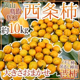 島根・鳥取・岡山産 干し柿・吊るし柿用 ”西条柿 渋柿” 約10kg 大きさおまかせ【予約 10月下旬以降】 送料無料