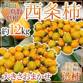 島根・鳥取・岡山産 干し柿・吊るし柿用 ”西条柿 渋柿” 約12kg 大きさおまかせ【予約 10月下旬以降】 送料無料