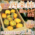 島根・鳥取・岡山産 干し柿・吊るし柿用”西条柿　渋柿” 約1.5kg 大きさおまかせ【予約 10月下旬以降】