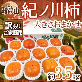 和歌山産 ”紀ノ川柿” 訳あり 約3.5kg 大きさおまかせ【予約 10月中旬以降】 送料無料