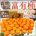 ”富有柿” 訳あり 約10kg 大きさおまかせ 産地厳選【予約 11月以降】 送料無料