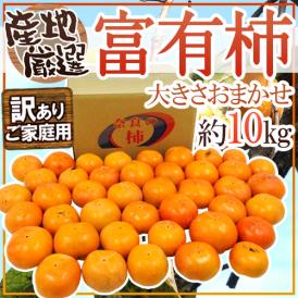 ”富有柿” 訳あり 約10kg 大きさおまかせ 産地厳選【予約 11月以降】 送料無料