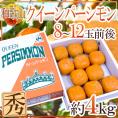 和歌山産 ”超大玉種なし柿 クイーンパーシモン” 秀品 8〜12玉前後 約4kg 化粧箱【予約 10月中旬以降】 送料無料