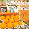 和歌山産 ”超大玉種なし柿 クイーンパーシモン” 訳あり 8〜12玉前後 約4kg 化粧箱【予約 10月中旬以降】 送料無料