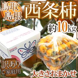 島根・鳥取産 ”西条柿” 訳あり 約10kg 大きさおまかせ【予約 10月下旬以降】 送料無料