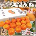 奈良産 ”延命富有柿” 秀品 大玉4L 15玉 約5kg【予約 11月以降】 送料無料