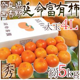 奈良産 ”延命富有柿” 秀品 大玉4L 15玉 約5kg【予約 11月以降】 送料無料