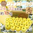 長野県 ”シナノゴールド” 秀品 24～32玉前後 約10kg りんご【予約 11月以降】 送料無料