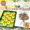 ”長野県 シナノゴールド” 秀品 12～16玉前後 約5kg 化粧箱 りんご【予約 11月以降】 送料無料