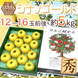 ”長野県 シナノゴールド” 秀品 12～16玉前後 約5kg 化粧箱 りんご【予約 11月以降】 送料無料