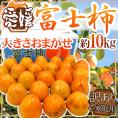 愛媛県八幡浜産 ”富士柿” 訳あり 約10kg 大きさおまかせ【予約 11月以降】 送料無料