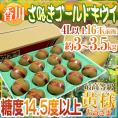 香川県 ”さぬきゴールド” 最高等級「黄様」 超大玉4L以上 16玉前後 約3～3.5kg【予約 10月下旬以降】 送料無料