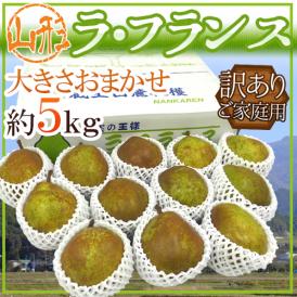 山形産 ”ラフランス” 訳あり 約5kg 大きさおまかせ 産地箱 洋梨 ラ・フランス【予約 10月下旬以降】 送料無料