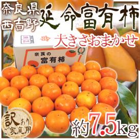 奈良産 ”延命富有柿” 訳あり 約7.5kg 大きさおまかせ【予約 11月以降】 送料無料