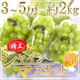 岡山産 ”シャインマスカット「晴王」” 3〜5房 約2kg ぶどう【予約 7月下旬以降】 送料無料