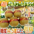 ”香川県 さぬきゴールド” 最高等級「黄様」 超大玉4L以上 4～6玉 約1kg【予約 10月下旬以降】