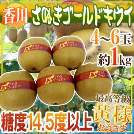 ”香川県 さぬきゴールド” 最高等級「黄様」 超大玉4L以上 4～6玉 約1kg【予約 10月下旬以降】