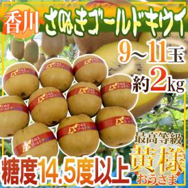 ”香川県 さぬきゴールド” 最高等級「黄様」 超大玉4L以上 9～11玉 約2kg【予約 10月下旬以降】 送料無料