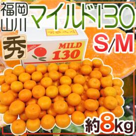 山川みかん ”福岡産 マイルド130” 秀品 S/Mサイズ 約8kg 産地箱【予約 11月以降】 送料無料