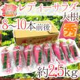 神奈川県三浦半島 ”レディーサラダ大根” 秀品 8～10本前後 約2.5kg【予約 11月下旬以降】 送料無料