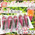 神奈川県三浦半島 ”レディーサラダ大根” 秀品 5～7本前後 約2kg【予約 11月下旬以降】 送料無料