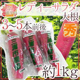 大根の名産地・三浦半島のオリジナル品種♪
