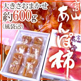 富山産 ”あんぽ柿” 大きさおまかせ 風袋込 約600g 化粧箱【予約 11月以降】 送料無料