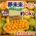 ”熊本産 夢未来みかん” 訳あり 約8kg 大きさおまかせ【予約 11月中旬以降】 送料無料