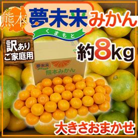 ”熊本産 夢未来みかん” 訳あり 約8kg 大きさおまかせ【予約 11月中旬以降】 送料無料