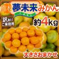 ”熊本産 夢未来みかん” 訳あり 約4kg 大きさおまかせ【予約 11月中旬以降】 送料無料