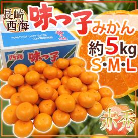 長崎 西海 ”味っ子みかん” 赤秀品 S/M/Lサイズ 約5kg 最低糖度13度保証【予約 11月下旬以降】 送料無料