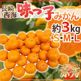 長崎 西海 ”味っ子みかん” 赤秀品 S/M/Lサイズ 約3kg 最低糖度13度保証【予約 11月下旬以降】 送料無料