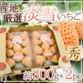 ”白いちご 淡雪いちご” 2pc（1pcあたり約300g） 産地厳選【予約 12月～1月以降】 送料無料