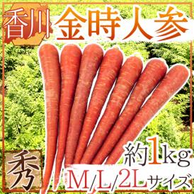 柔らかく、甘い！真っ赤な姿がおめでたい「金時にんじん」