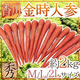 柔らかく、甘い！真っ赤な姿がおめでたい「金時にんじん」