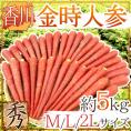 ”香川県 金時人参” 秀品 M/L/2L 約5kg【予約 11月下旬以降】 送料無料