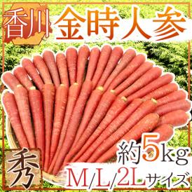 柔らかく、甘い！真っ赤な姿がおめでたい「金時にんじん」