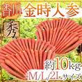 ”香川県 金時人参” 秀品 M/L/2L 約10kg【予約 11月下旬以降】 送料無料