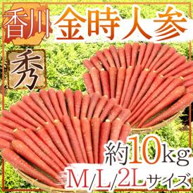 柔らかく、甘い！真っ赤な姿がおめでたい「金時にんじん」