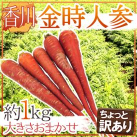 ”香川県 金時人参” ちょっと訳あり 約1kg 大きさおまかせ【予約 11月下旬以降】