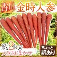 ”香川県 金時人参” ちょっと訳あり 約2kg 大きさおまかせ【予約 11月下旬以降】 送料無料