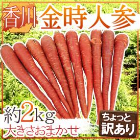 ”香川県 金時人参” ちょっと訳あり 約2kg 大きさおまかせ【予約 11月下旬以降】 送料無料